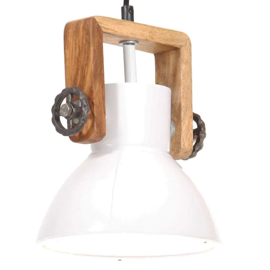 Lampe Suspendue Industrielle 25 W Rond 30 Cm E27 Blanc - www.minichezmoi.com