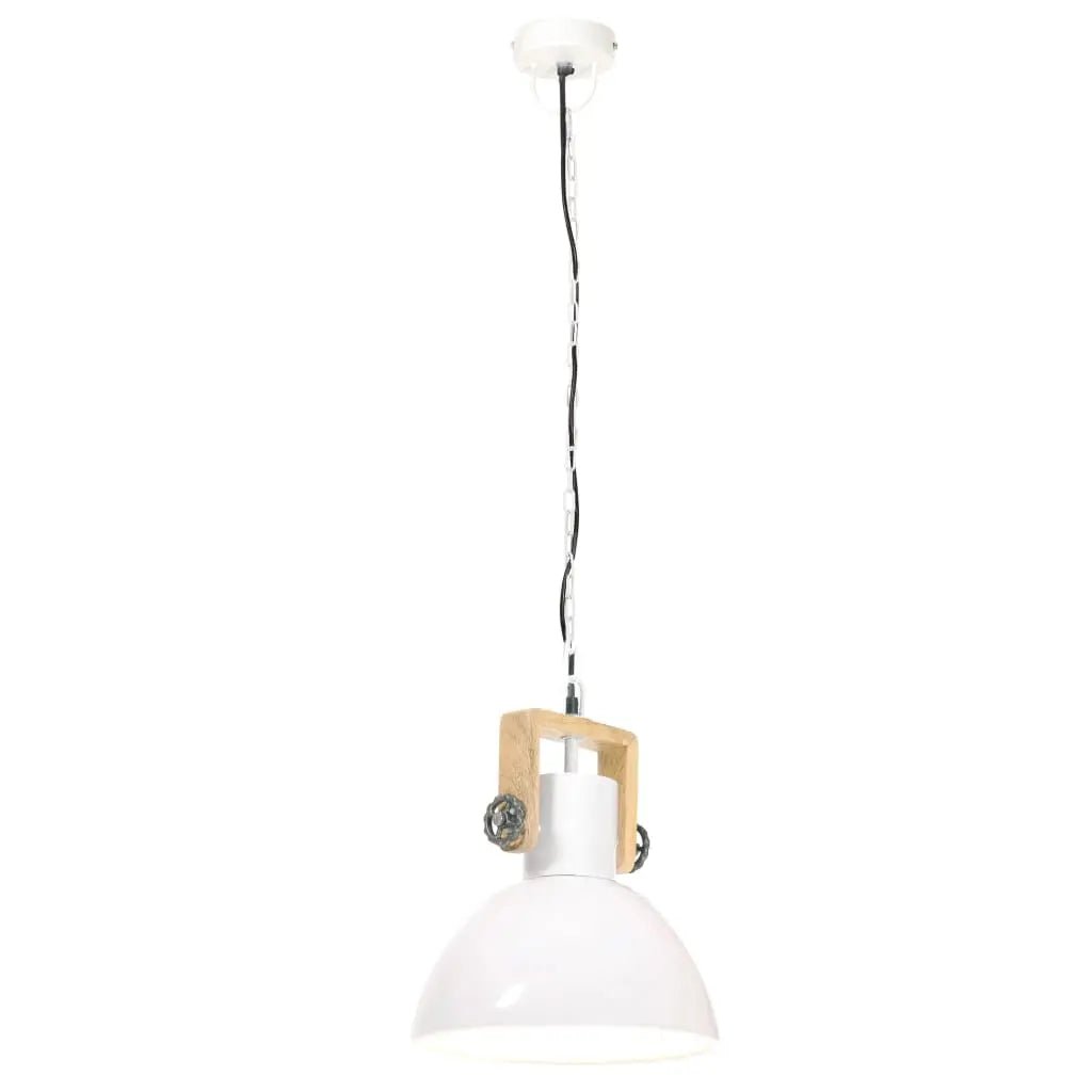 Lampe Suspendue Industrielle 25 W Rond 30 Cm E27 Blanc - www.minichezmoi.com