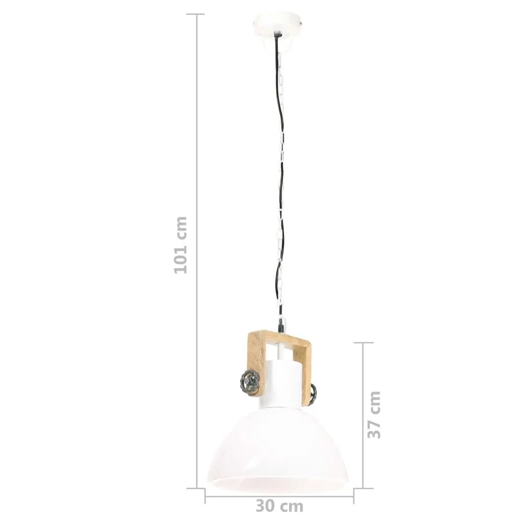 Lampe Suspendue Industrielle 25 W Rond 30 Cm E27 Blanc - www.minichezmoi.com