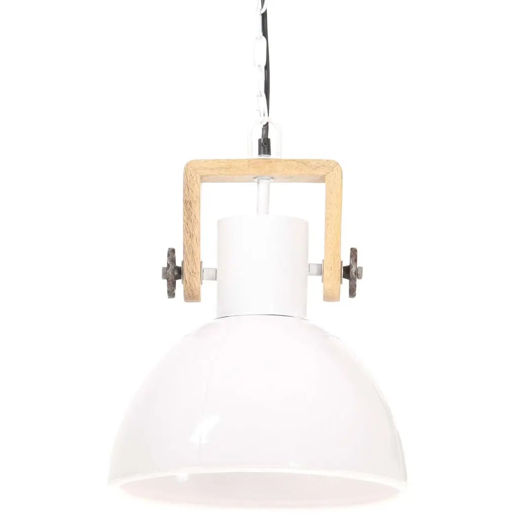 Lampe Suspendue Industrielle 25 W Rond 30 Cm E27 Blanc - www.minichezmoi.com