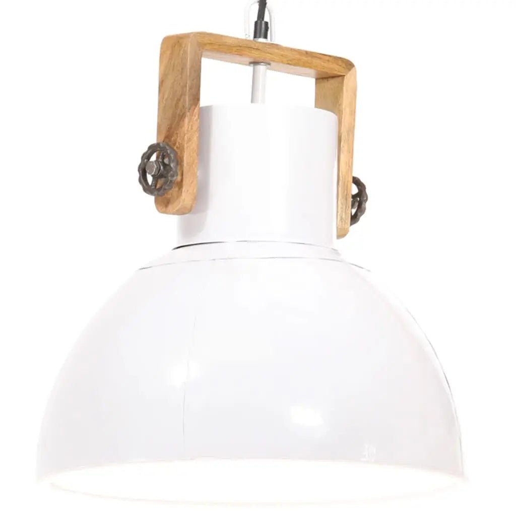 Lampe Suspendue Industrielle 25 W Rond 30 Cm E27 Blanc - www.minichezmoi.com